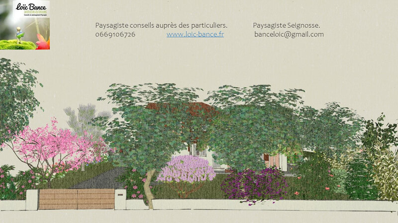 Paysagiste Seignosse Concepteur de jardins