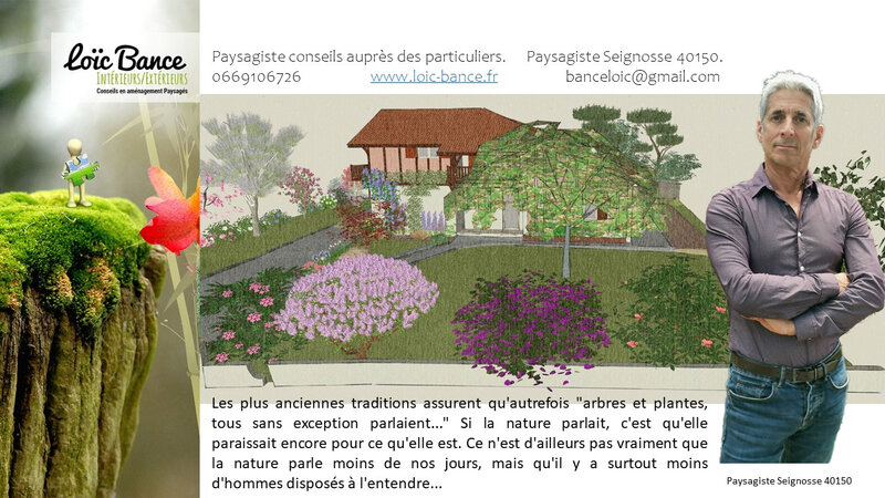 Paysagiste Seignosse Conception de jardins