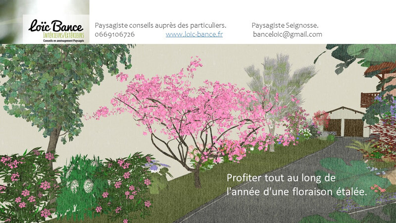 Paysagiste Seignosse croquis de jardins