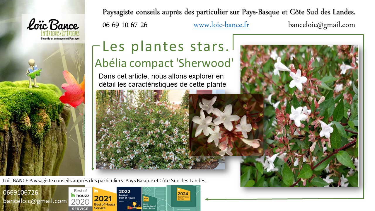 Paysagiste Pays Basque; Paysagiste Landes; Paysagiste conseil; Landes; Ahetze; Anglet; Arbonne; Arcangues; Bayonne; Biarritz; Capbreton; Guthary; Hossegor; Saint Jean de Luz; Seignosse; 