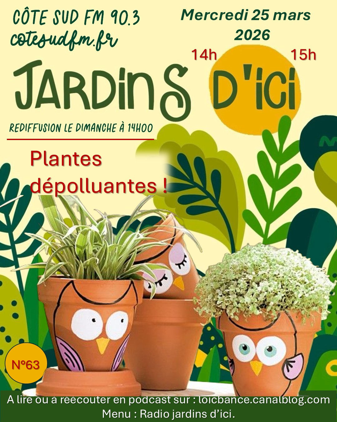 Jardins d'ici : Les plantes d�polluantes avec Marion les fleurs, fleuriste � Saint Martin de Seignanx 40390..