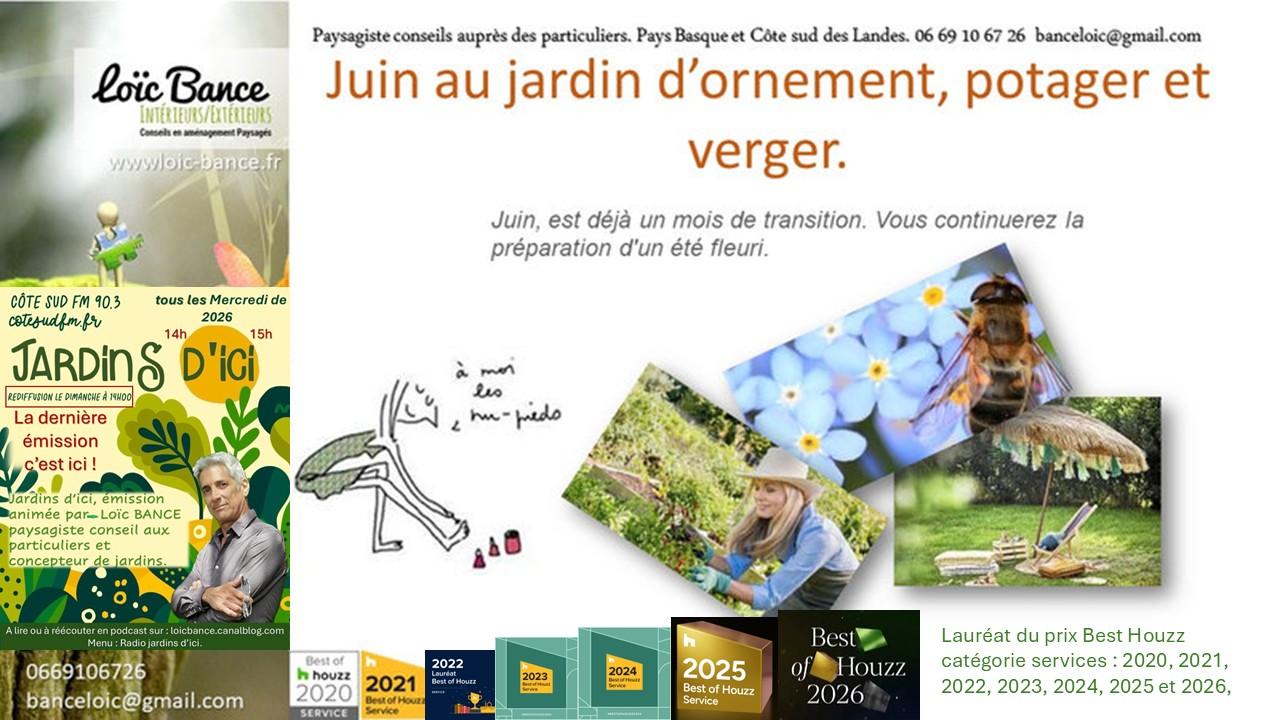 Les travaux de juin 2026 au jardin d'ornement, potager ou fruitier. Seignosse Paysages