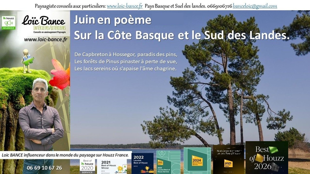 Juin en po�me sur la C�te Basco-Landaise. Seignosse Paysages