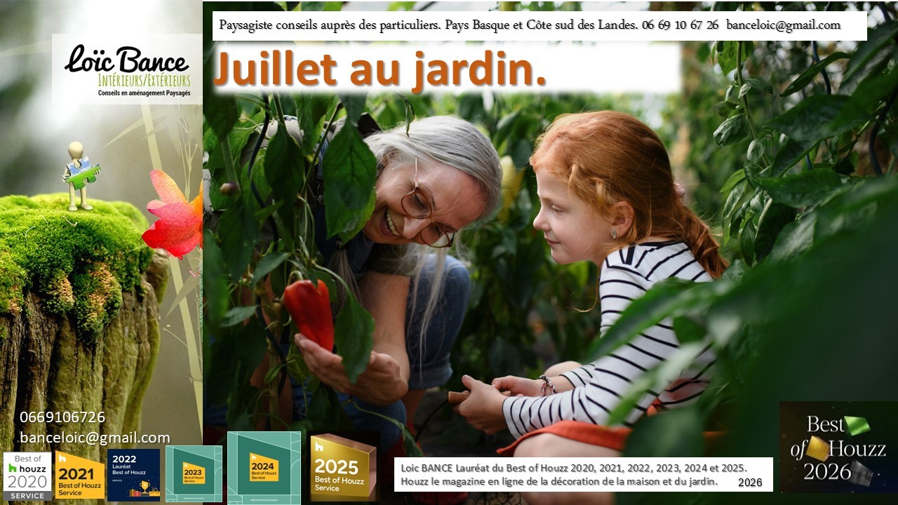 Paysagiste Seignosse Juillet au jardin