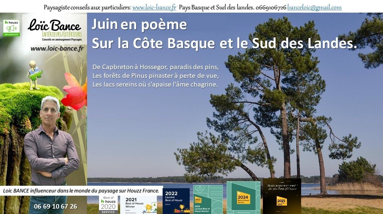 paysages; Landes; Pays Basque; Paysagiste; Paysagiste Landes; Paysagiste Pays Basque; Loc BANCE; Concepteur de jardins; Amnagements paysagers; Paysagiste conseils aux particuliers; Juin; Seignosse; 